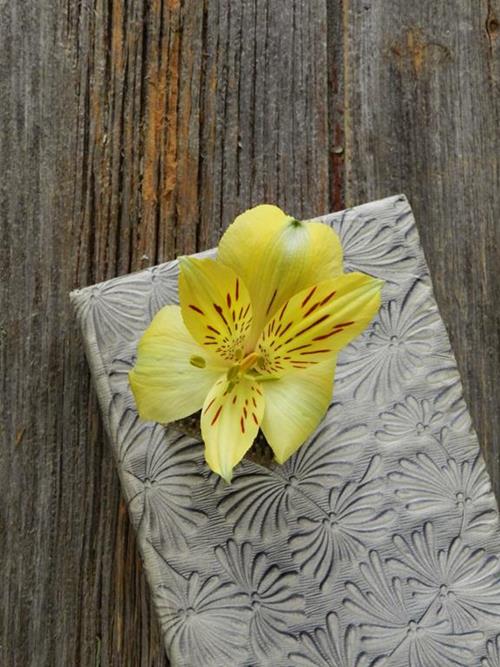 VOYAGER  YELLOW ALSTROEMERIA